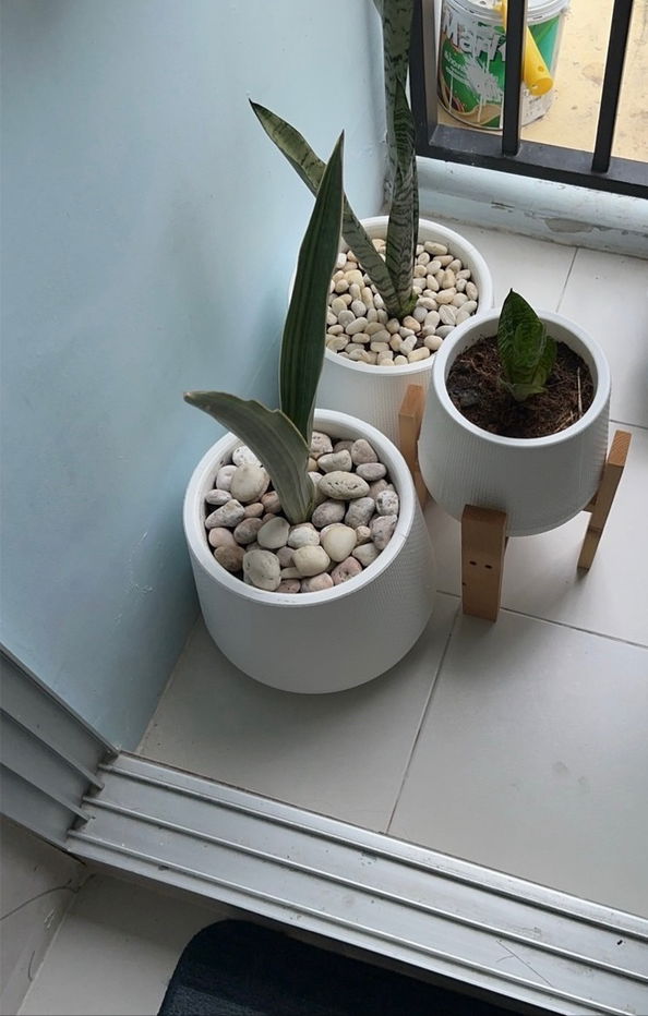 รูป D Condo Kathu Phuket View Pool - รูปที่ 8/9