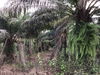 listing thumbnail image 6