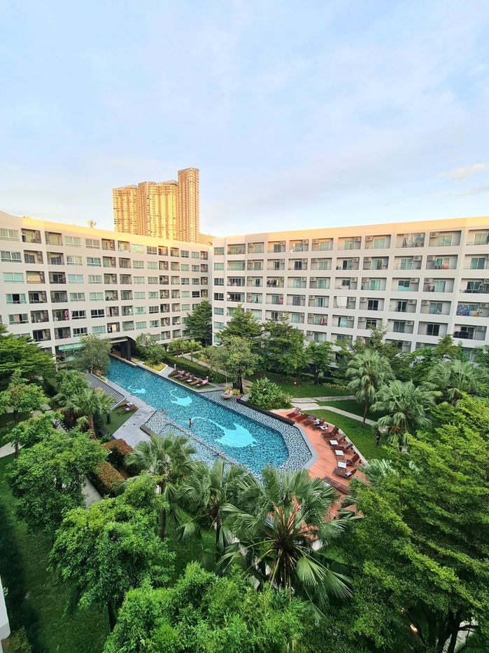 รูป Condo for rent : Elio Del Rey 1 bedroom  1 bathroom  34 sqm  Floor 6 - รูปที่ 2/9