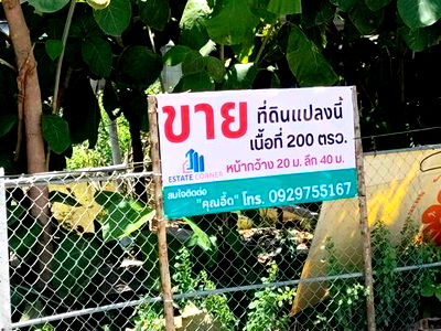 ที่ดิน ศาลหลักเมืองจังหวัดปทุมธานี : ขายที่ดิน 200 ตรว. ถนนรังสิต-บางพูน ตรงข้าม ตลาดพูนทรัพย์ ซอยบ้านกลาง