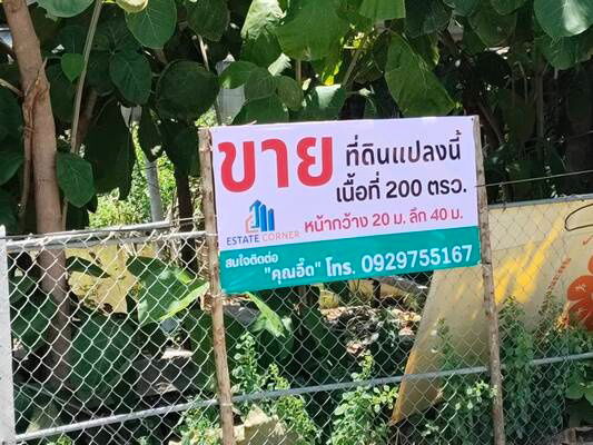 รูป ขายที่ดิน 200 ตรว. ถนนรังสิต-บางพูน ตรงข้าม ตลาดพูนทรัพย์ ซอยบ้านกลาง - รูปที่ 1/9