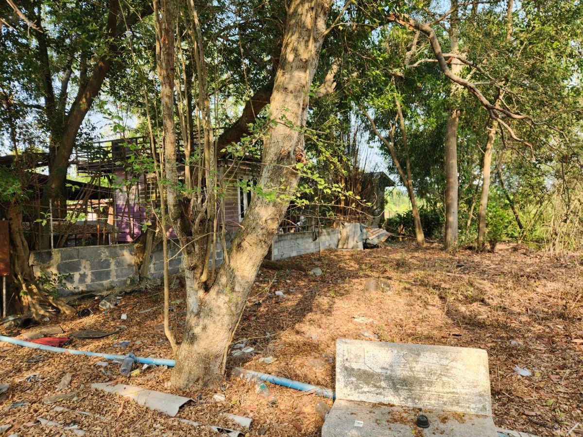 picture Land for sale in Khlong Sib, Nong Suea District, Khlong Hok Wa Bon Tai Subdistrict, cheap price - 4/6