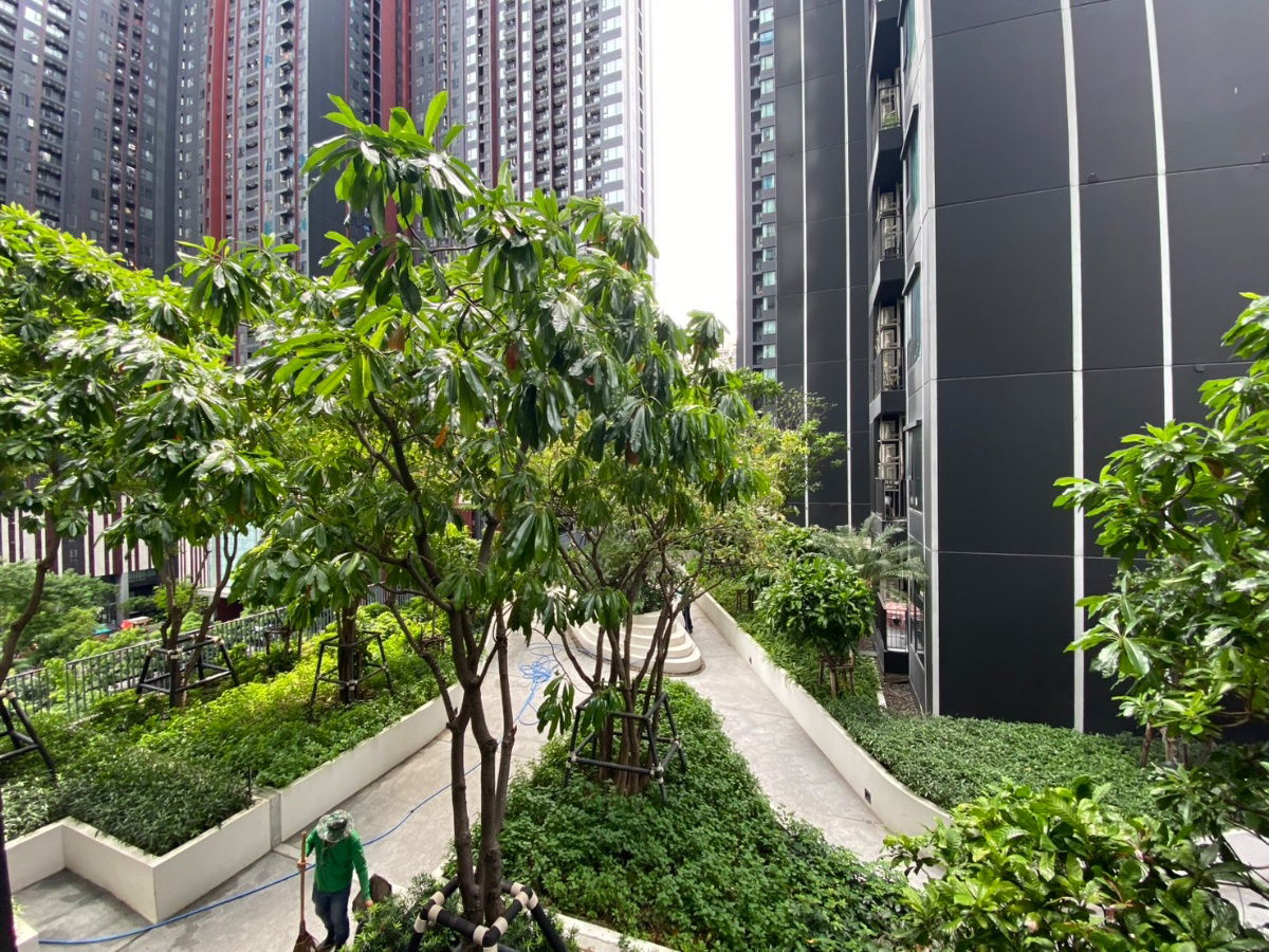 picture 🔥🔥Best price!! Garden view 1b1b 3.95mb  - Life Asoke - Rama 9 📞Call 096 896 5953 - 12/12