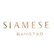project-siamese-bangtao-image-alt