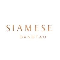 Siamese Bangtao