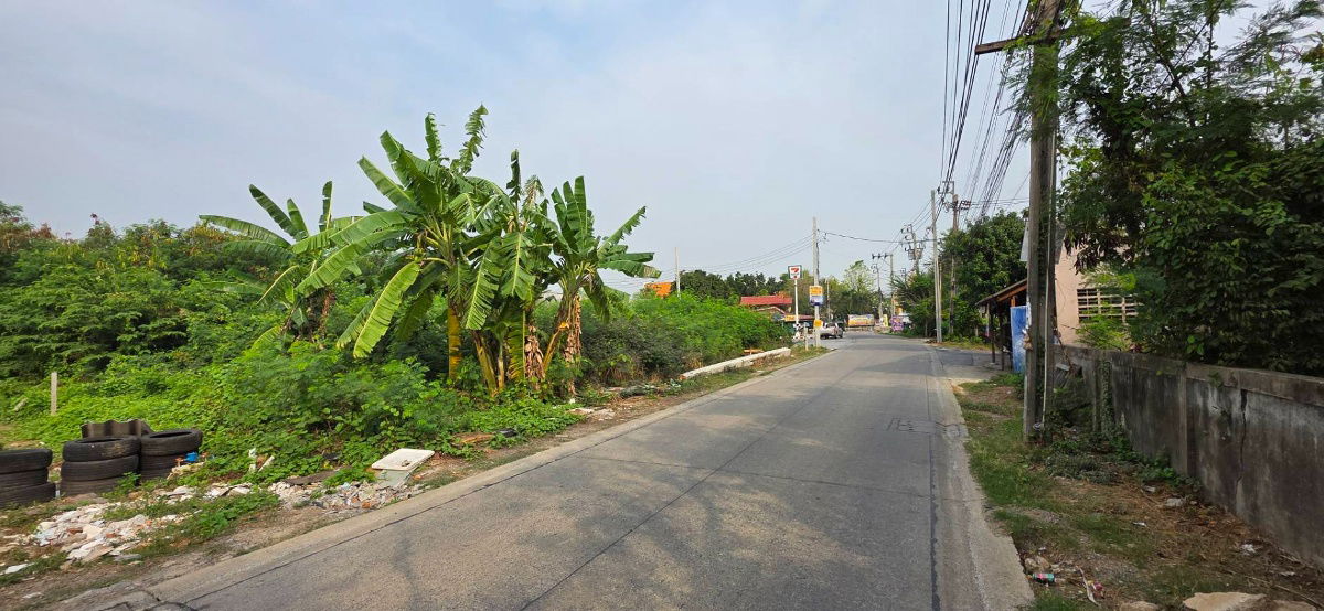รูป ที่ดินถมแล้ว ซอยวัดไผ่เหลือง นนทบุรี - รูปที่ 7/7