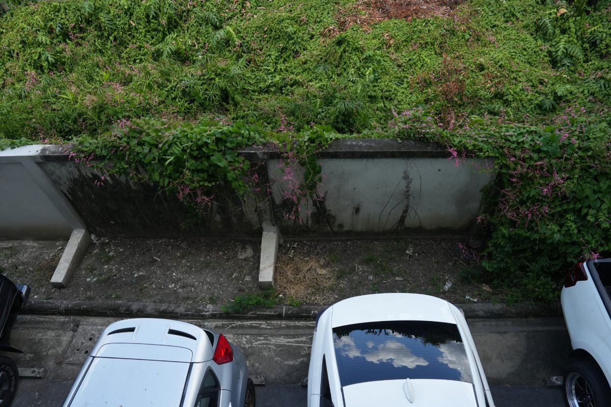 รูป  ขายคอนโด ลุมพินี เซ็นเตอร์ นวมินทร์ รีโนเวทใหม่ พร้อมอยู่ เป็นสัดส่วน สวยมากกกก - รูปที่ 28/29