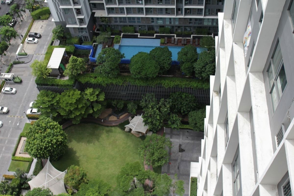 รูป Code: KJ8151  ให้เช่า IDEO Mobi Sukhumvit 81 🔥🔥 จองเดือนนี้รับส่วนลด1,000บาท 🔥🔥 @kjcondo (มี@ข้างหน้าด้วยนะคะ) - รูปที่ 11/13