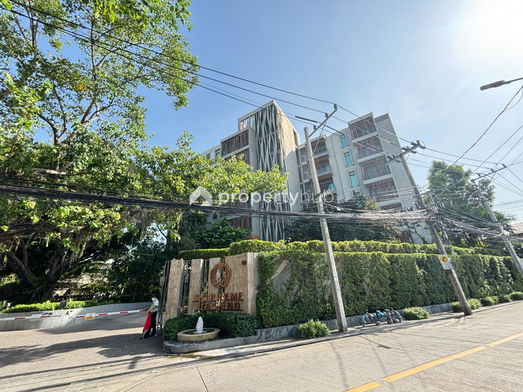 Project Supreme Legend Picture - 5/18