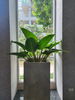 listing thumbnail image 9