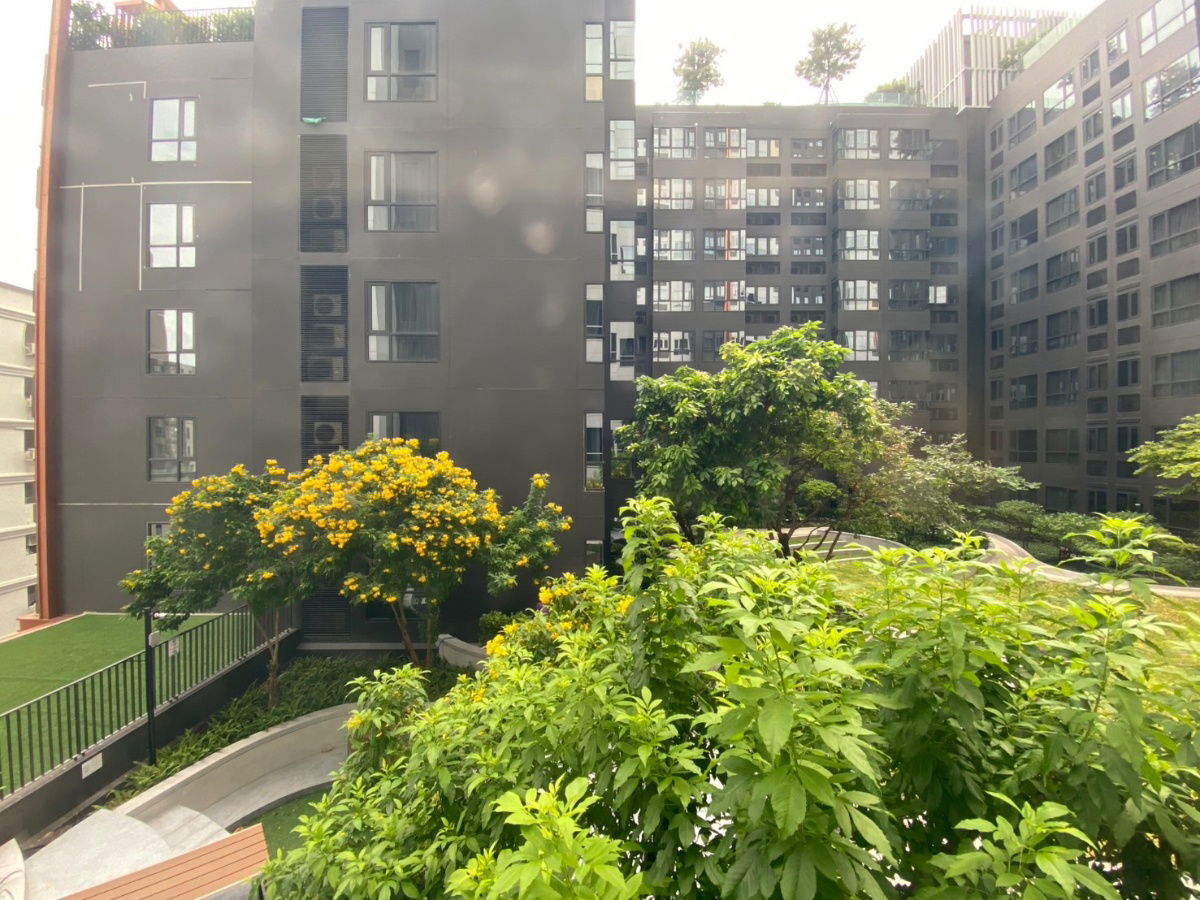 picture 🔥For Rent!! ready to move-in 1b1b 16k - XT Huaikhwang 📞Call 096 896 5953 - 13/13