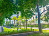 listing thumbnail image 22