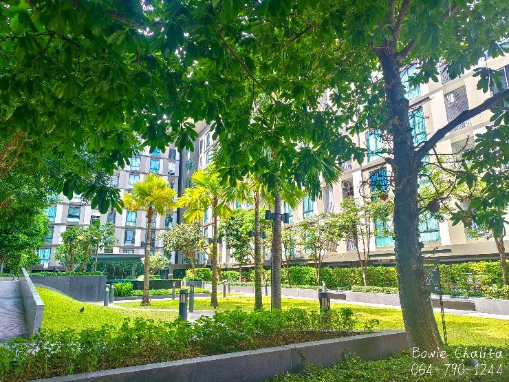 รูป ขายด่วน! พราวคอนโด ฉะเชิงเทรา – วิวสระ ชั้น 8 ใกล้โรบินสัน 1 กล. - รูปที่ 23/27