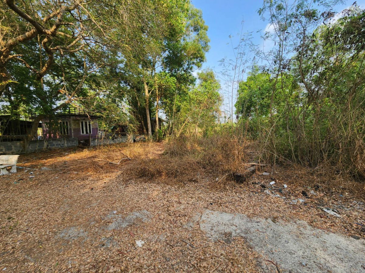picture Land for sale in Khlong Sib, Nong Suea District, Khlong Hok Wa Bon Tai Subdistrict, cheap price - 3/6