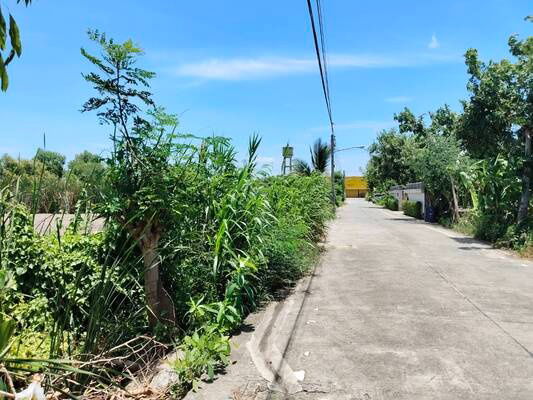 รูป ขายที่ดิน 200 ตรว. ถนนรังสิต-บางพูน ตรงข้าม ตลาดพูนทรัพย์ ซอยบ้านกลาง - รูปที่ 3/9