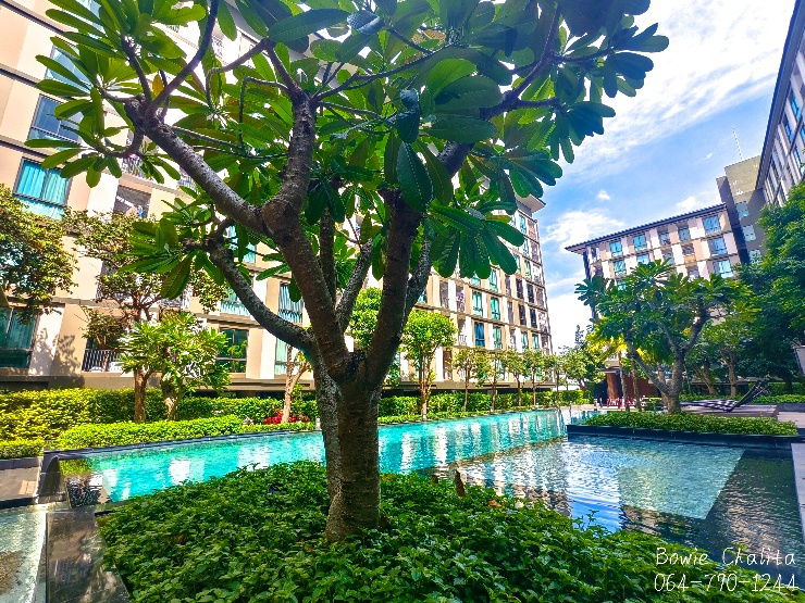 รูป ขายด่วน! พราวคอนโด ฉะเชิงเทรา – วิวสระ ชั้น 8 ใกล้โรบินสัน 1 กล. - รูปที่ 21/27
