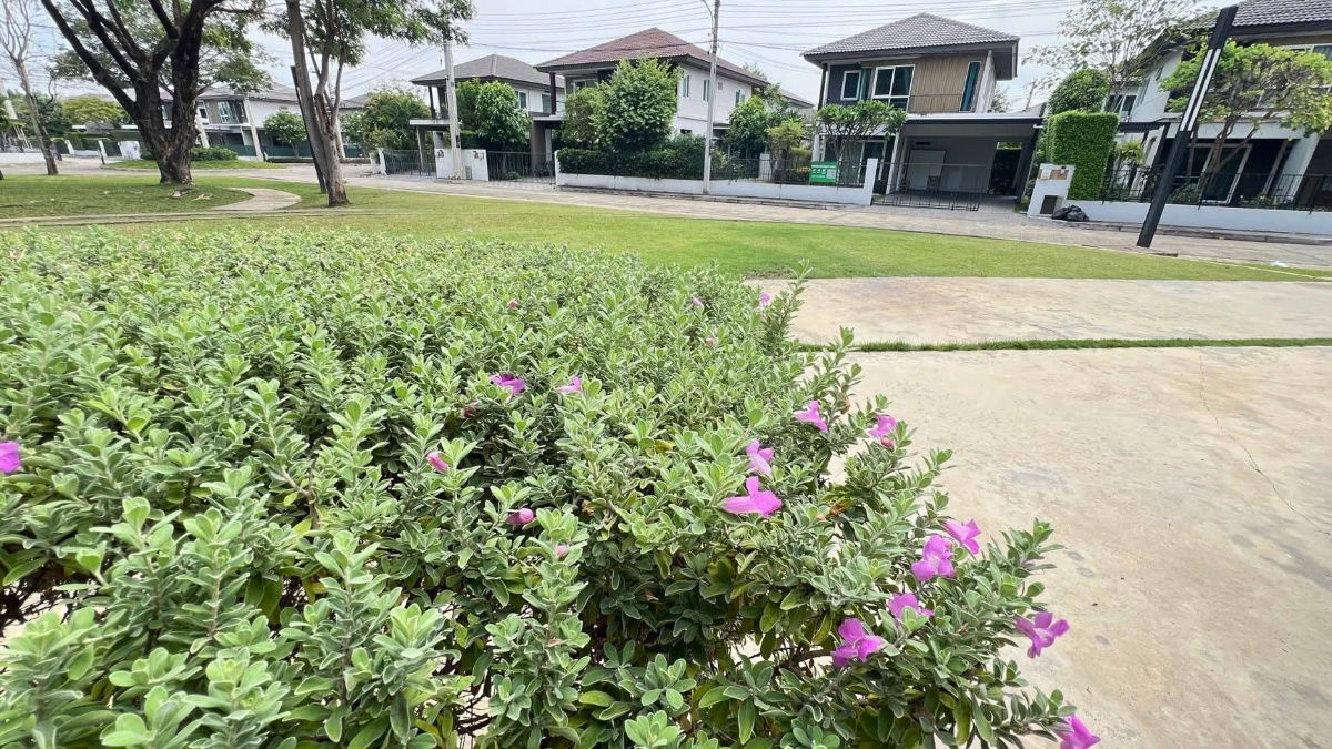 รูป ให้เช่าบ้านหน้าสวน ‌โครงการ Land & House Inizio (ติดถนนใหญ่ สันกำแพงสายใหม่) T.0946511456 - รูปที่ 17/18