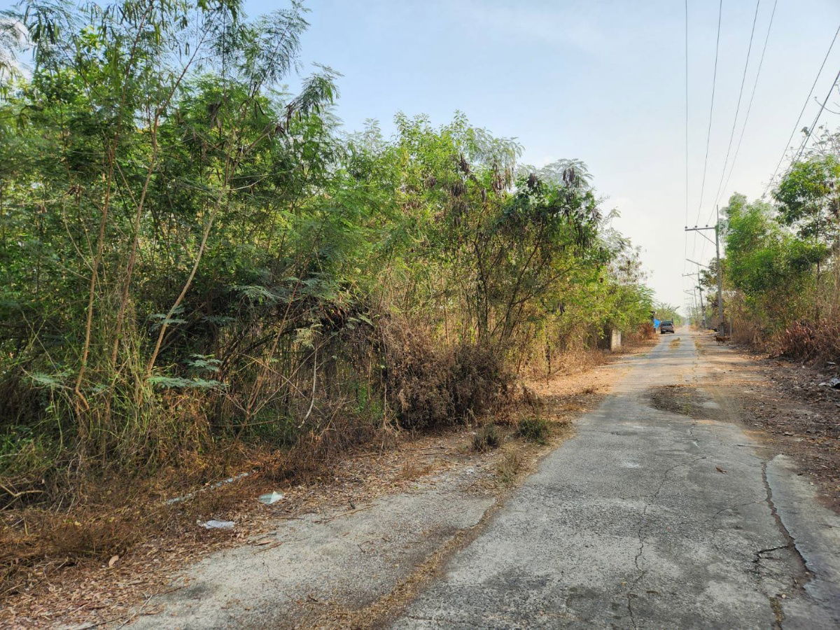 picture Land for sale in Khlong Sib, Nong Suea District, Khlong Hok Wa Bon Tai Subdistrict, cheap price - 2/6