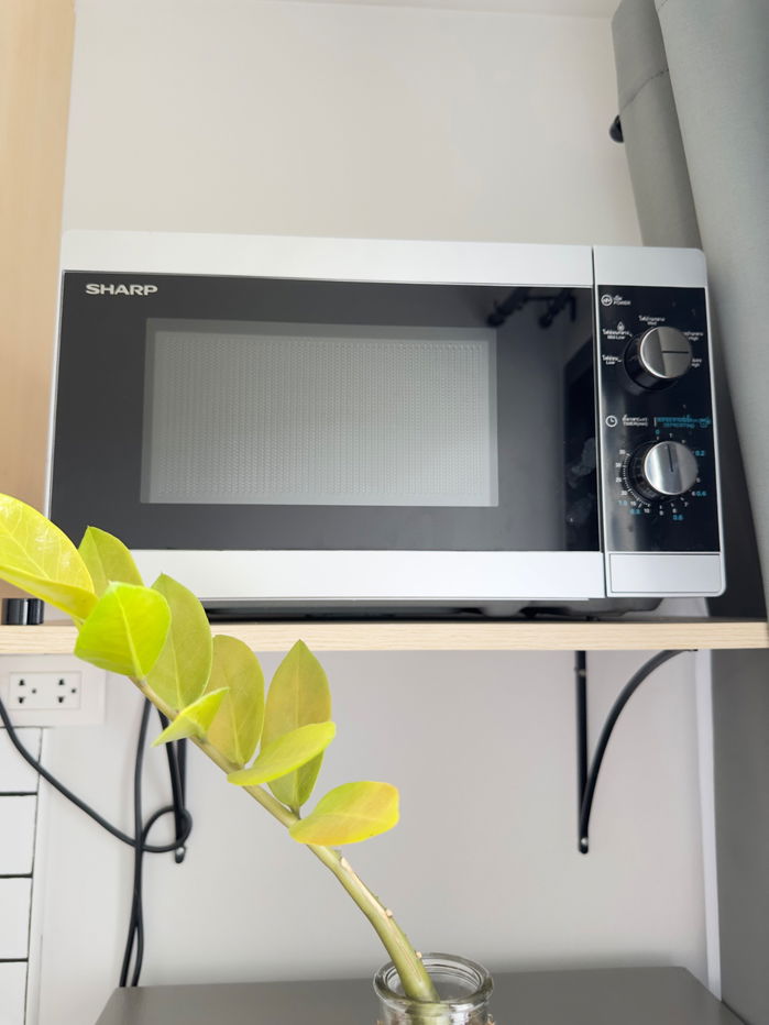 picture  Studio condominium for rent – 27 sq.m. - 8/21