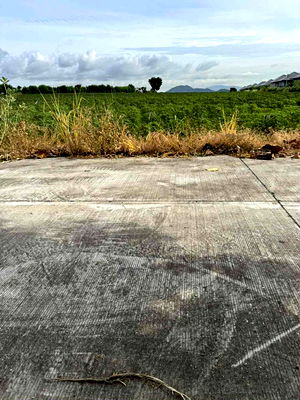 Land for sale Ammata City Industrial Estate : Beautiful plot of vacant land for sale in Khao Khai, Bo Win, Sriracha, Chonburi