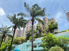รูป Bangkok Garden - รูปที่ 5/24
