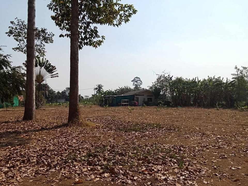 picture Land for sale 3 km from Na Jomtien zone - 2/5