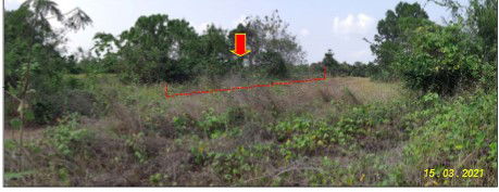picture ที่ดินเปล่า 1351.6 square meter Chumphon Muang Chumphon Ban Na for 3717000 THB - 2/5