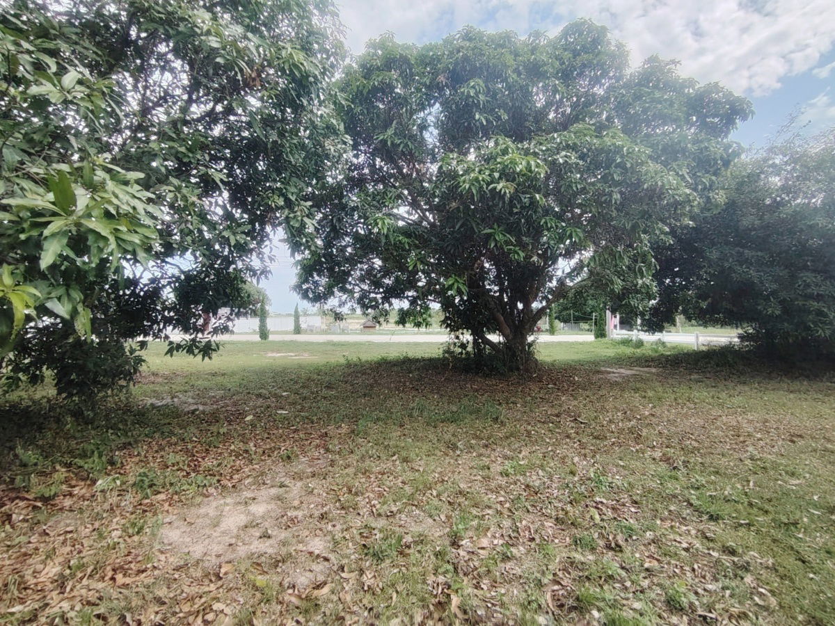 picture 2-0-0 Rai | Awesome Home Building Plot  Ideal For Building Your Dream Villa(s) - 14/15