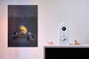 listing thumbnail image 4