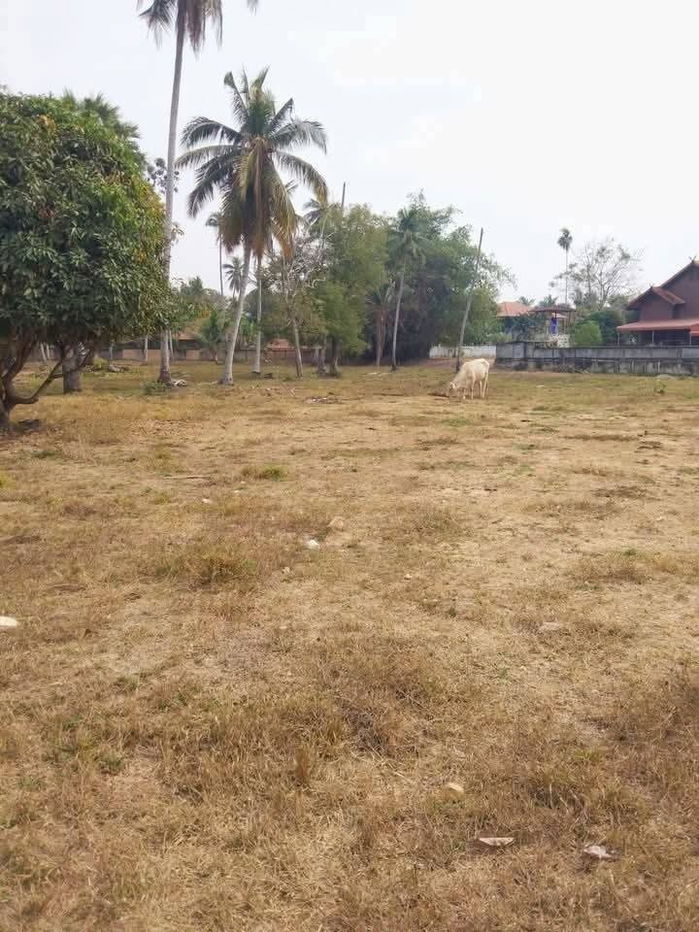 picture Land for sale in Huai Yai Chin, Huai Yai, Pattaya, 2 rai - 2/5