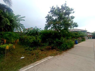 Land for sale Sattahip Chonburi : Land in Pattaya Prime Location located near Pattaya Floating Market before the railway