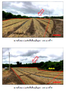 ที่ดิน ป่าซาง ลำพูน : ที่ดินเปล่า เนื้อที่ทั้งหมด 2656 ตารางเมตร - ตำบลนครเจดีย์ อำเภอป่าซาง ลำพูน ราคา 172,000 บาท