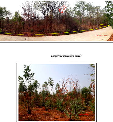Land for sale Muang Khon Kaen Khon Kaen : ที่ดินเปล่า 26320 square meter Khon Kaen Muang Khon Kaen Daeng Yai for 19082000 THB