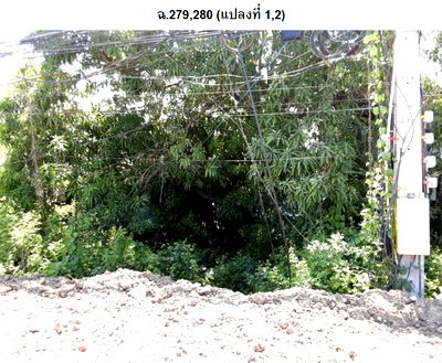 Land for sale : ที่ดินเปล่า 790.8 square meter Phetchabun Muang Phetchabun Nai Muang for 8482000 THB
