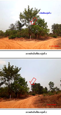 Land for sale Muang Khon Kaen Khon Kaen : ที่ดินเปล่า 160384 square meter Khon Kaen Muang Khon Kaen Sawathi for 13022000 THB