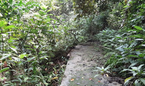 ที่ดินเปล่า 2015.6 square meter Phuket Muang Phuket Rawai for 1895000 THB