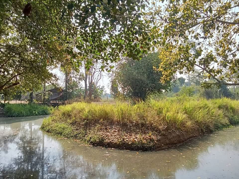 picture Land for sale 3 km from Na Jomtien zone - 3/5