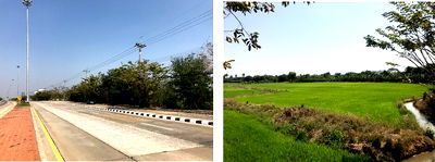 Land for sale Boromarajonani College of Nursing Suphan Buri : ที่ดินเปล่า 76520 square meter Suphanburi Muang Suphanburi Sanamchai for 140615000 THB