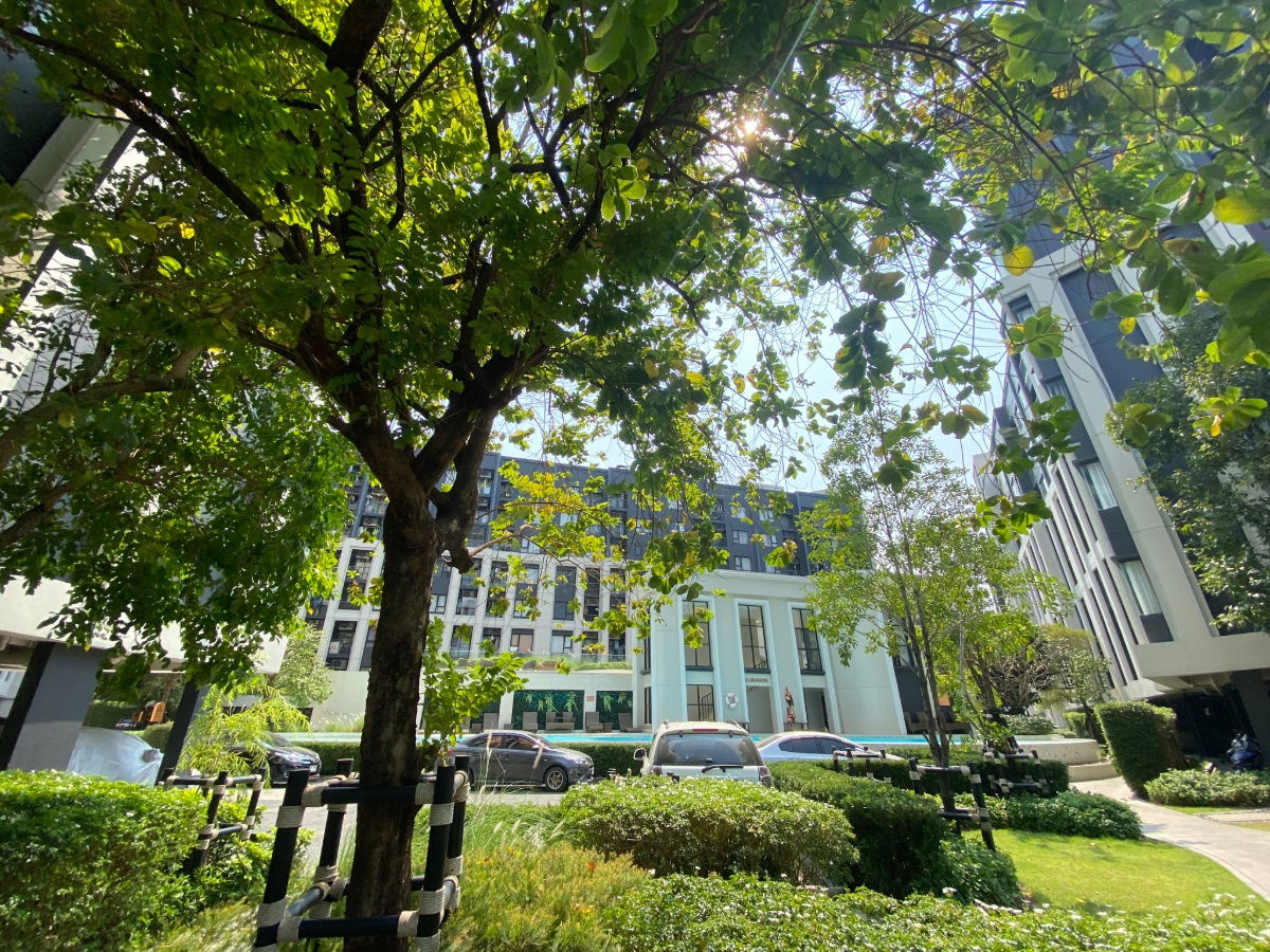 picture Condo for rent Aspire Sukhumvit - Onnut near BTS On Nut 25,000 baht Property code: RS1345 - 25/29