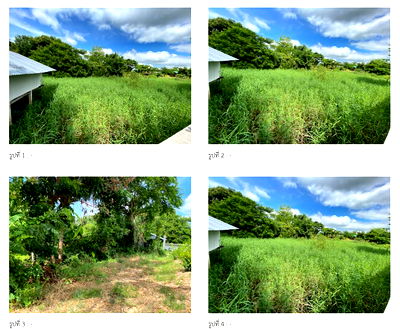 Land for sale Lat Yao Nakhon Sawan : ที่ดินเปล่า 890.8 square meter Nakhon Sawan Lat Yao Lat Yao for 557000 THB