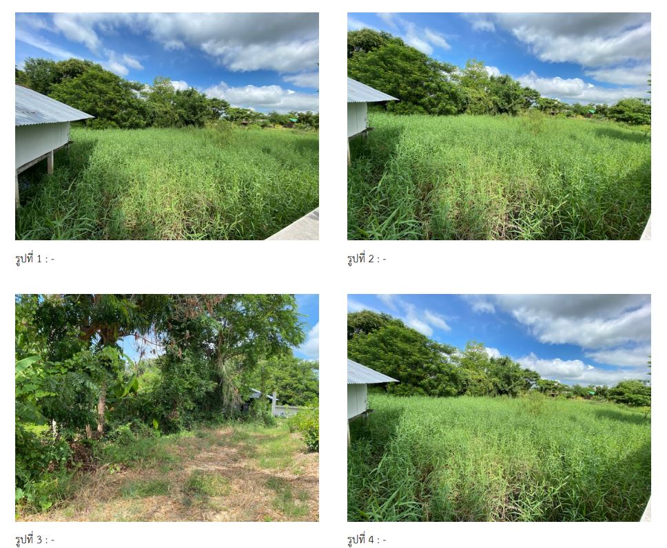 picture ที่ดินเปล่า 890.8 square meter Nakhon Sawan Lat Yao Lat Yao for 557000 THB - 1/2
