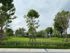 listing thumbnail image 7