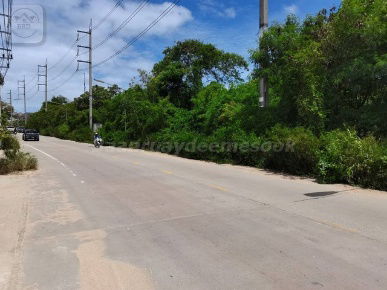 picture  Purple-Zoned Land for Industrial Development | 24-0-49 Rai | THB 4M per Rai | Bo Win, Si Racha, Chonburi - 3/9