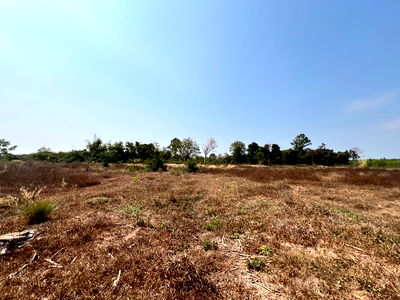 Land for sale : ที่ดินเปล่า 152368 square meter Sakon Nakhon Kham Ta Kla Nong Bua Sim for 5333000 THB