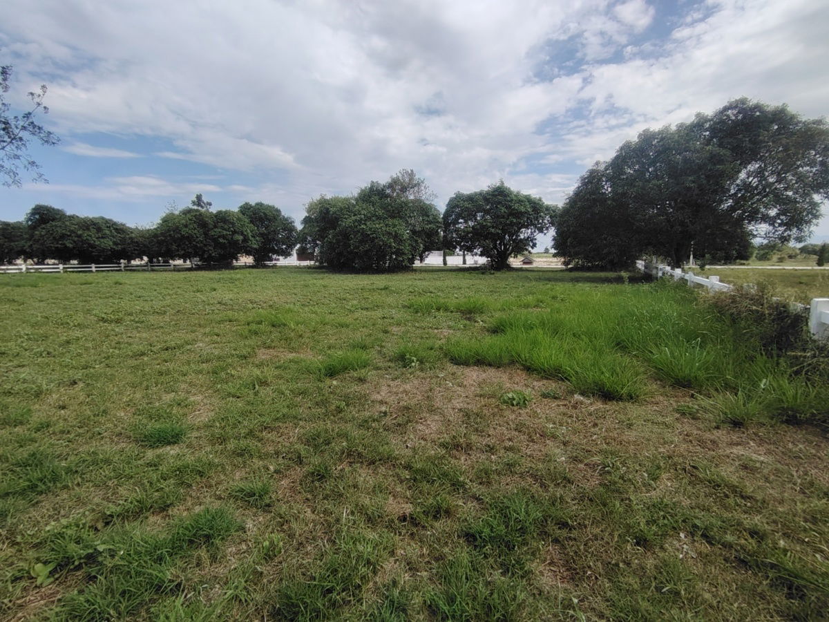 picture 2-0-0 Rai | Awesome Home Building Plot  Ideal For Building Your Dream Villa(s) - 12/15