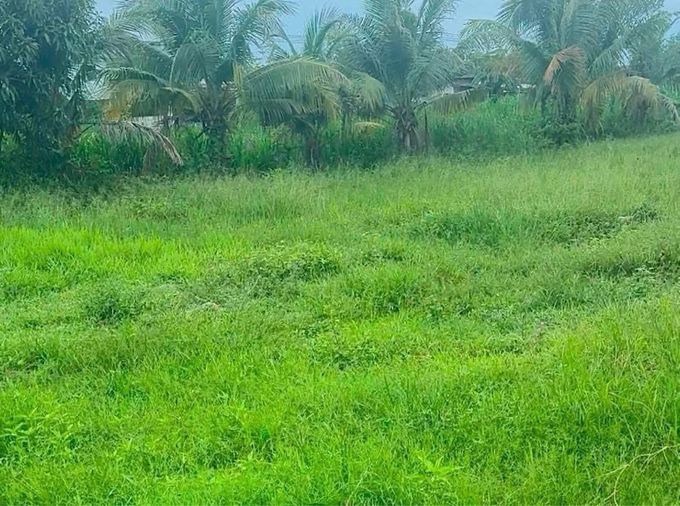 ขายที่ดิน –ที่ดินห้วยใหญ่ K9 ที่ตั้ง: ห้วยใหญ่ K9