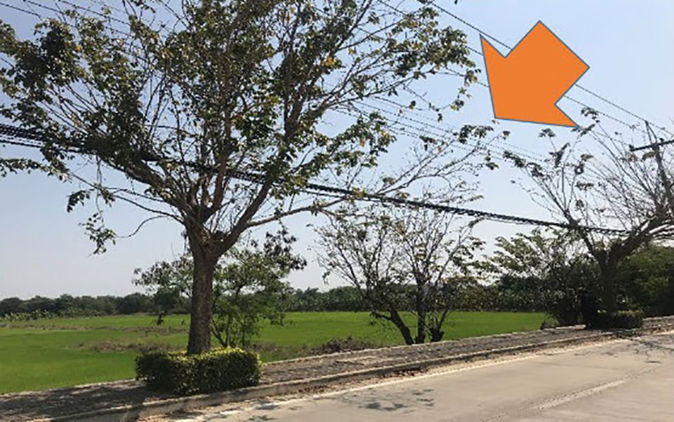 picture ที่ดินเปล่า 76520 square meter Suphanburi Muang Suphanburi Sanamchai for 140615000 THB - 4/9
