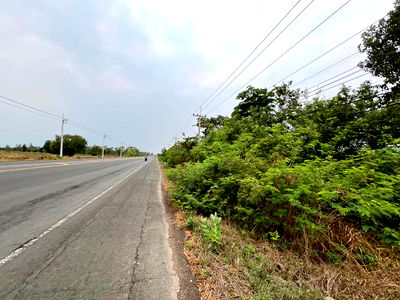 Land for sale : ที่ดินเปล่า 8984 square meter Buri Ram Lam Plai Mat Nong Kathing for 4773000 THB