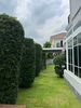 listing thumbnail image 17