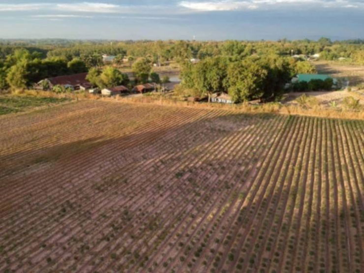 picture 🌳 Land for Sale: 109 Rai – Prime Location   Main Road Frontage Udon Thani – Nong Bua Lamphu - 5/7